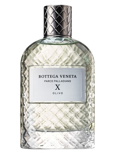 Parco Palladiano X: Olivo by Bottega Veneta