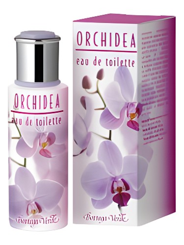 Orchidea by Bottega Verde