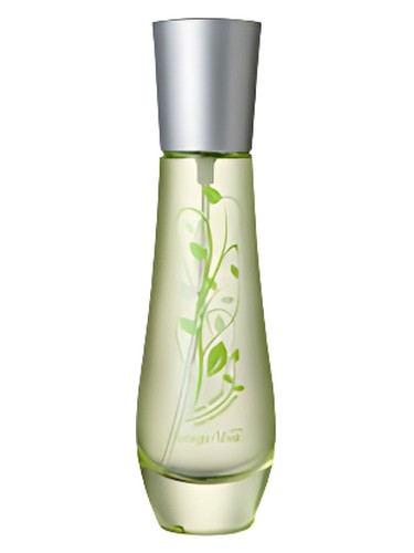 The Verde by Bottega Verde