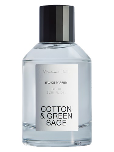 Cotton & Green Sage by Massimo Dutti