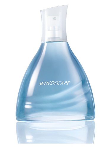 Windscape for Him by Avon