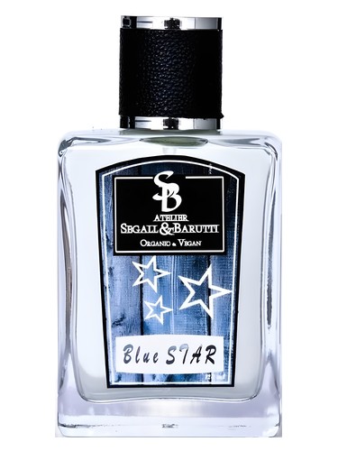 Blue Star by Atelier Segall & Barutti