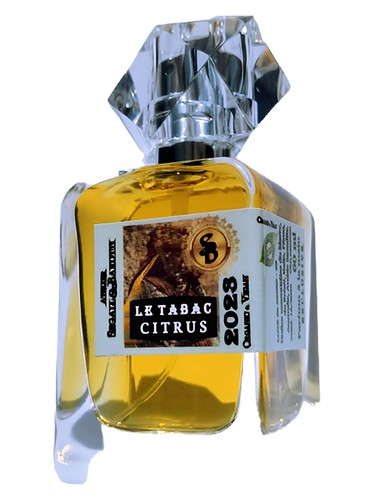 Le Tabac & Citrus by Atelier Segall & Barutti