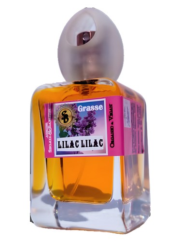 Lilac Lilac by Atelier Segall & Barutti