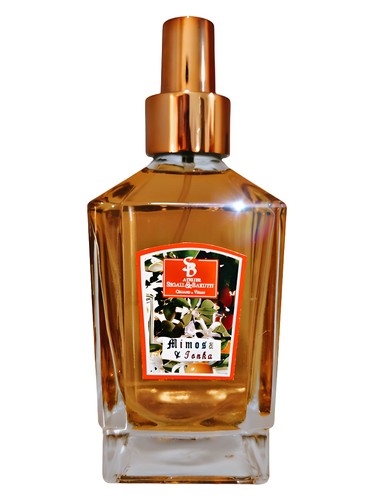 Mimosa & Tonka by Atelier Segall & Barutti