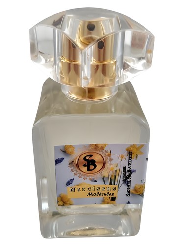 Narcissus Molécules by Atelier Segall & Barutti