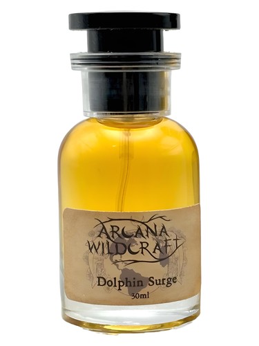 Dolphin Surge by Arcana Wildcraft