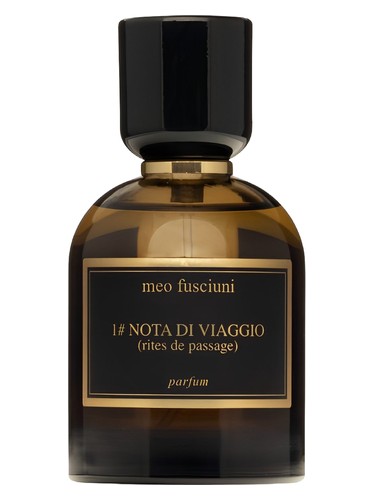 1# nota di viaggio (rites de passage) (2025) by Meo Fusciuni
