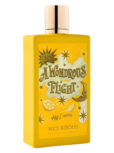A Wondrous Flight by Mes Bisous