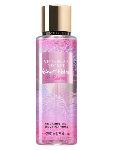 Velvet Petals in Bloom by Victoria's Secret