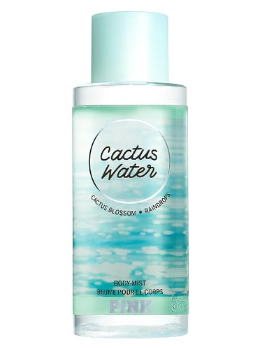 Pink Cactus Water by Victoria's Secret