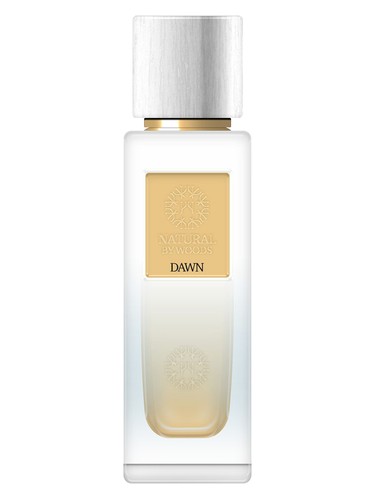 Dawn by The Woods Collection