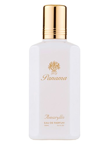 Amaryllis Bianco by Panama 1924