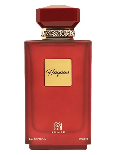 Hayana by Ahmed Al Maghribi