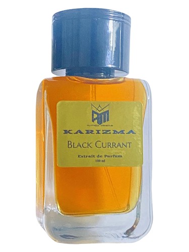 Black Currant by Ahmed Mahsoub KARIZMA