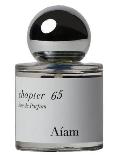 Chapter 65 by Aíam