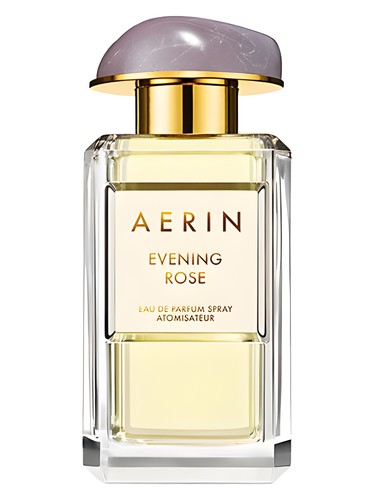 Evening Rose by Aerin