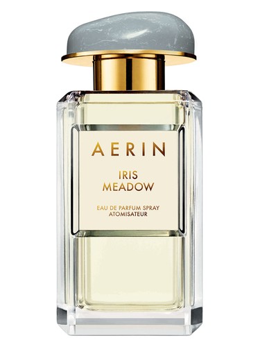 Iris Meadow by Aerin