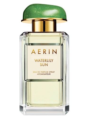Waterlily Sun by Aerin