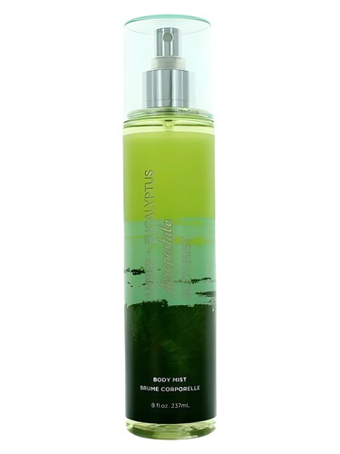 Amber Eucalyptus by Aéropostale