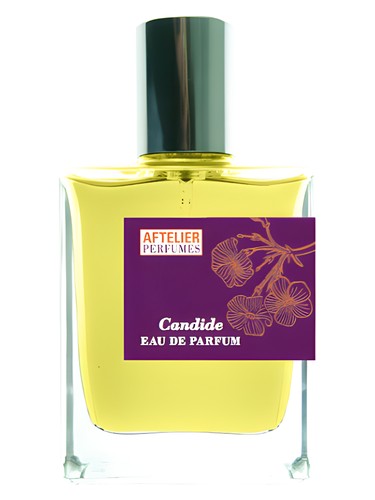 Candide by Aftelier