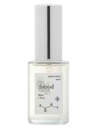 Brood by Agar Olfactory