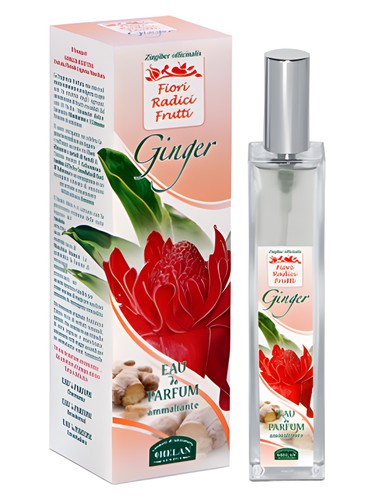 Ginger by Helan