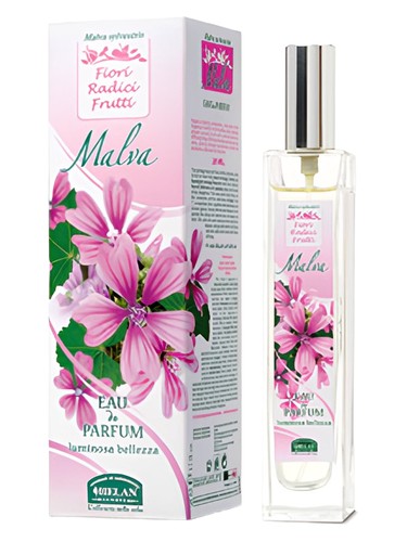 Malva by Helan