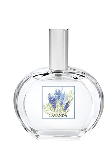Lavanda by Helan