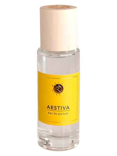Rosa Aestiva by Rosae Virtus
