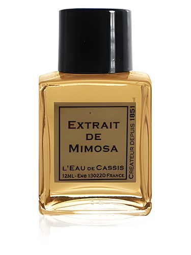 Mimosa by L'Eau De Cassis