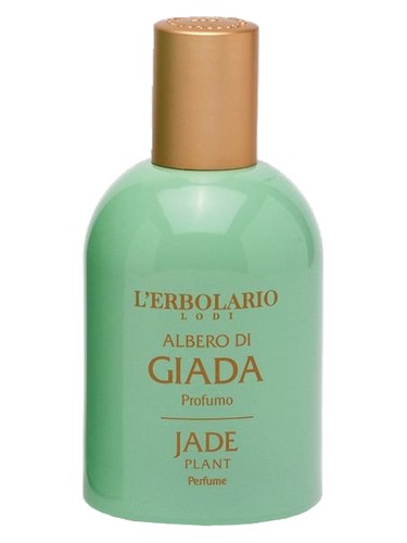 Jade Plant by L'Erbolario