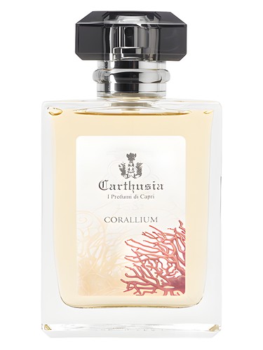 Corallium by Carthusia