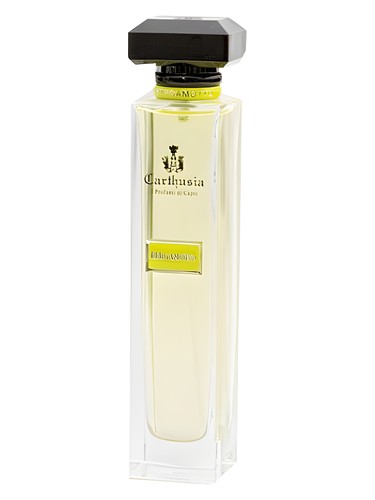 Acqua di Carthusia Bergamoto by Carthusia