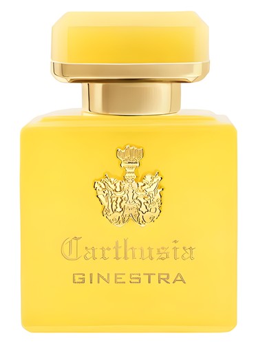 Intenso di Ginestra by Carthusia