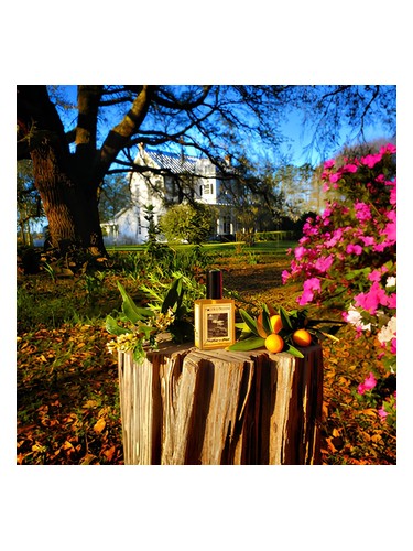 Farmhouse In Spring by Solstice Scents