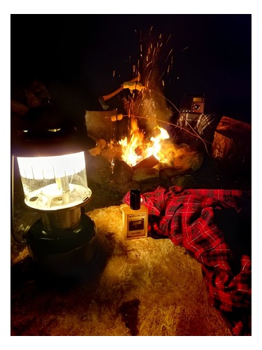 Camp Willow by Solstice Scents