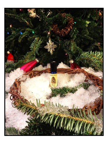 Winslow's by Solstice Scents