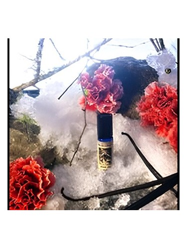 Winter Dove by Solstice Scents