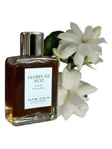 Jasmin De Nuit by Sonia Washburn