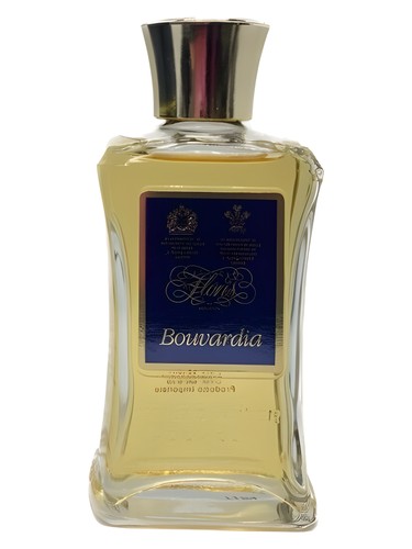 Bouvardia by Floris