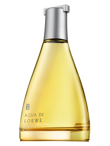 Agua de Loewe Cala d'Or by Loewe