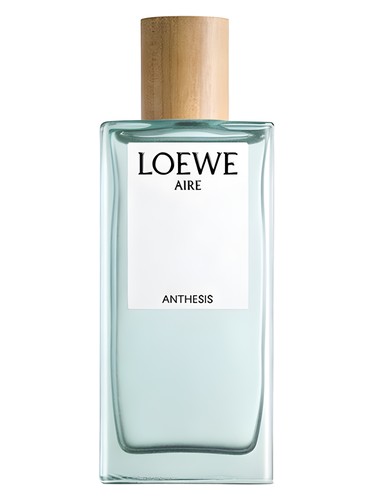 Aire Anthesis by Loewe
