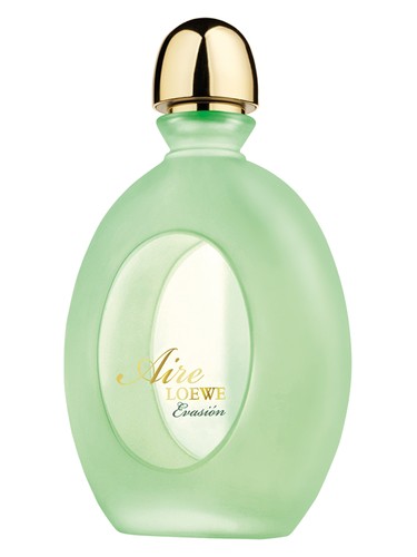 Aire Evasion by Loewe