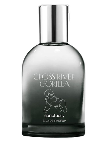 Cross River Gorilla by Sanctuary