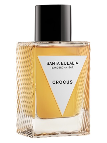 Crocus by Santa Eulalia