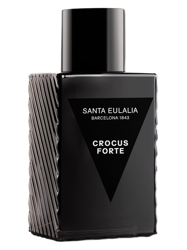 Crocus Forte by Santa Eulalia