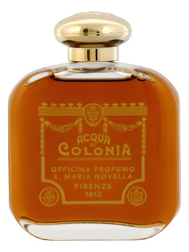 Ambra by Santa Maria Novella
