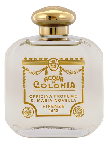 Violetta by Santa Maria Novella