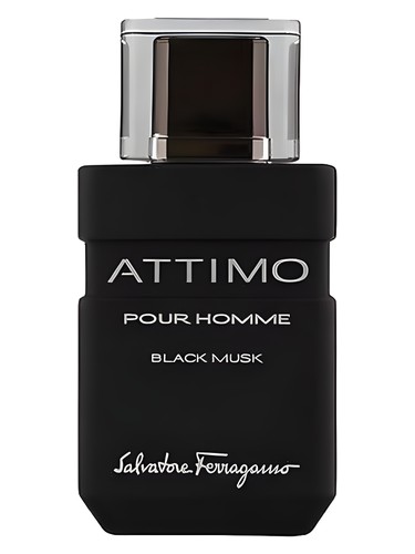 Attimo Black Musk Pour Homme by Salvatore Ferragamo